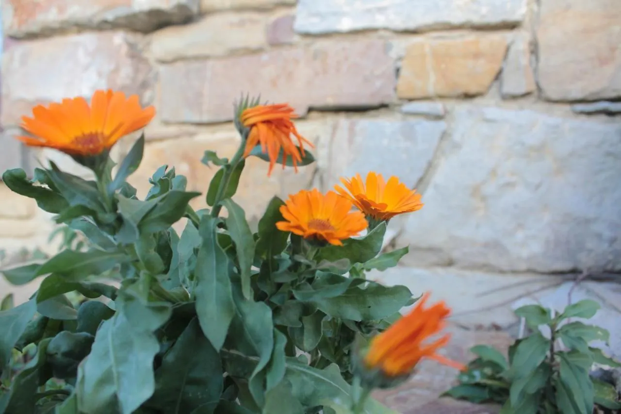Bio Fattoria Ca D'Pignat Bed & Breakfast Lama Mocogno