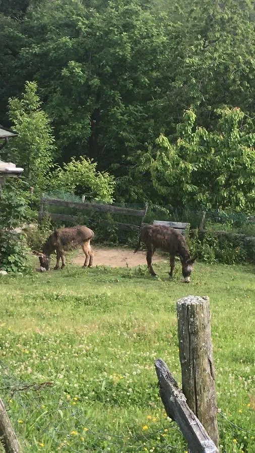 Bio Fattoria Ca D'Pignat Bed & Breakfast Lama Mocogno